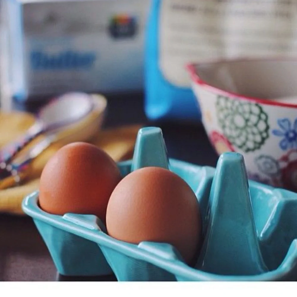 Anthropologie Half-Dozen Egg Crate